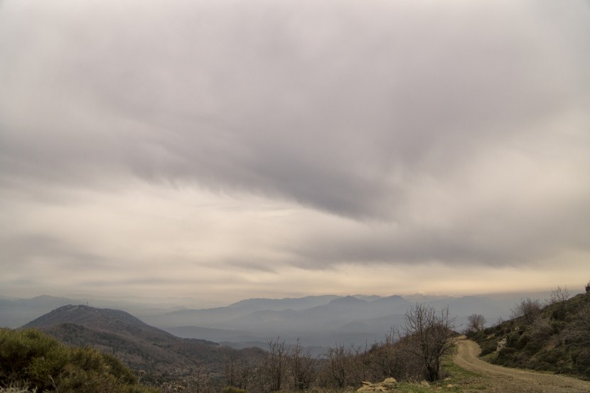 DSC05247.jpg