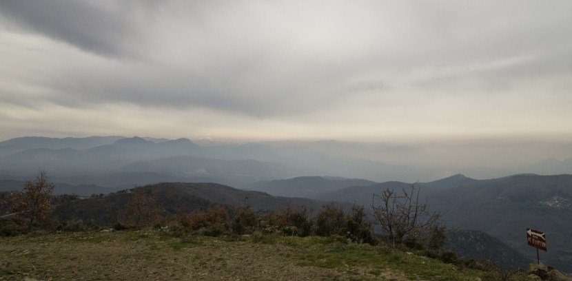 DSC05253.jpg