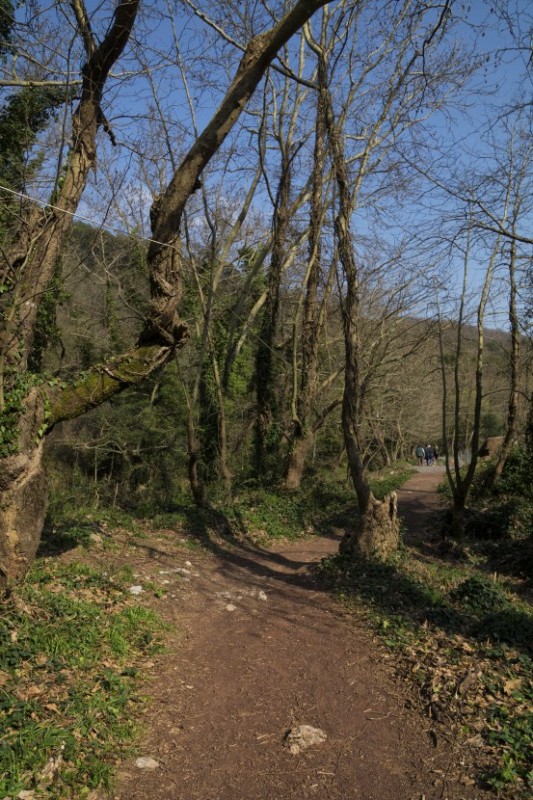 DSC05934.jpg