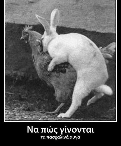 eastereggs.jpg