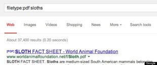 google7.jpg