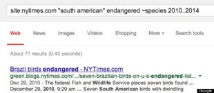 google8.jpg