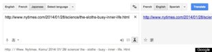 google9.jpg