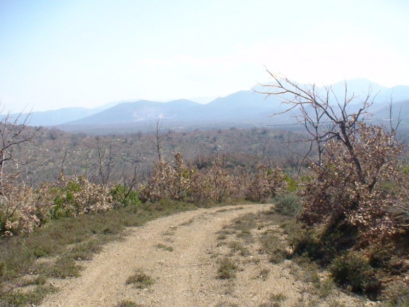 DSC00131.jpg