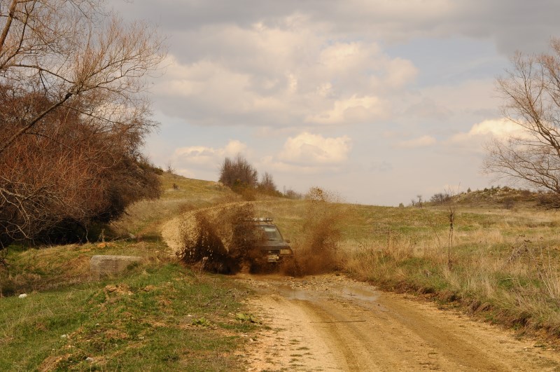 DSC_0178.jpg