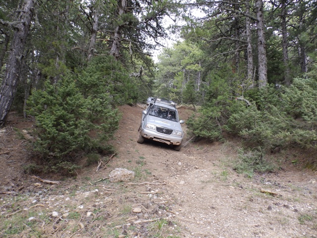 P4060827.JPG