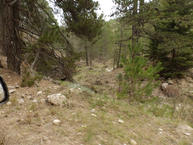 P4060958.JPG
