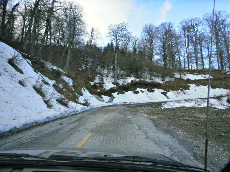 P2090303.jpg