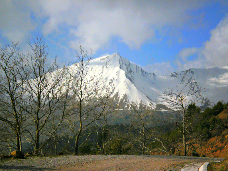 P2090325.jpg