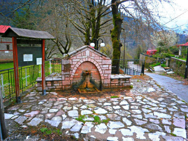 P2110385.jpg