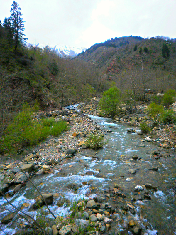 P2120400.jpg