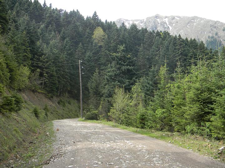 pasxa 2014 010.jpg