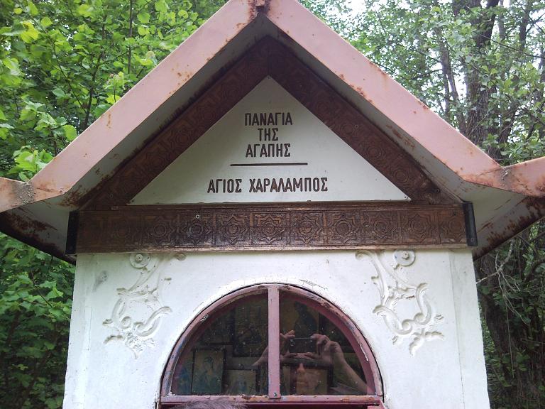 8.JPG